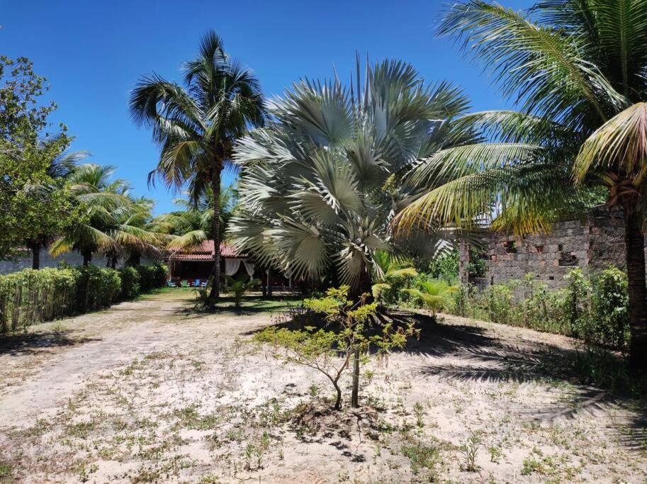 Casa Cumuruxatiba, Natureza E Charme Ngoại thất bức ảnh